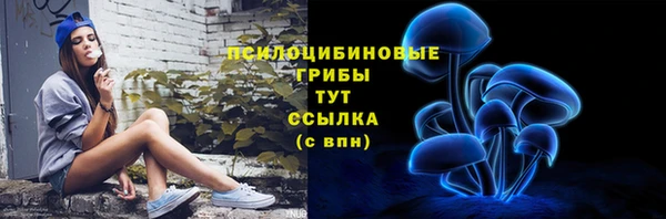 PSILOCYBIN Алексеевка