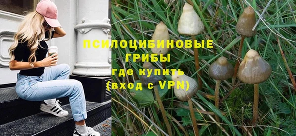 PSILOCYBIN Алексеевка