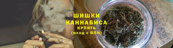 PSILOCYBIN Алексеевка