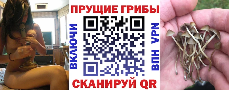 Псилоцибиновые грибы мицелий хочу Слюдянка